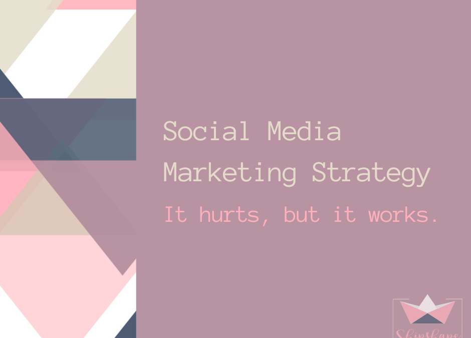 Social Media Marketing: it hurts but it works.